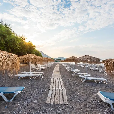 Elvita קיוטארי