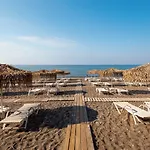 Elvita 키오타리